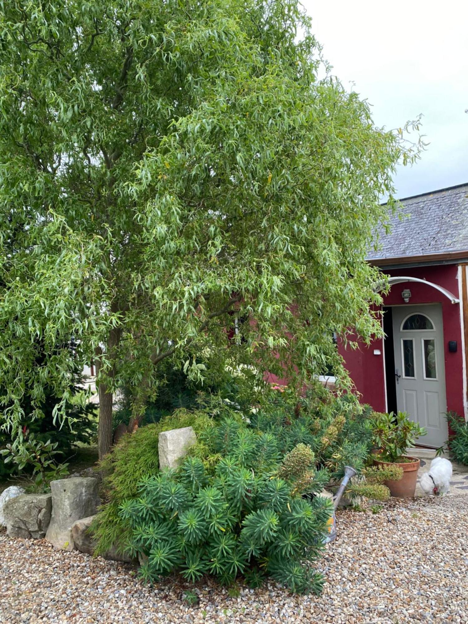 La Maison De Famille Néville Extérieur photo